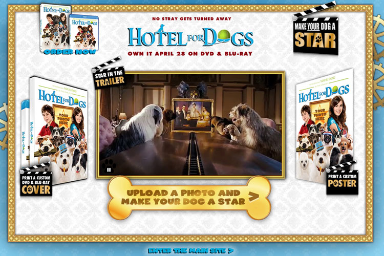 Hotel for Dogs - Make Your Dog a Star website