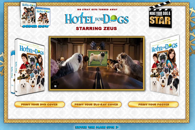 Hotel for Dogs - Make Your Dog a Star website
